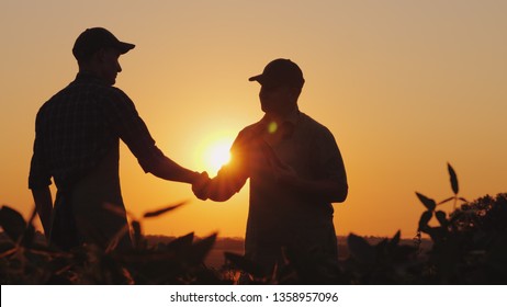 Two Farmers Talk On The Field, Then Shake Hands. Use A Tablet