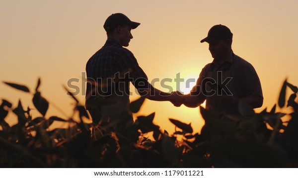 2人の農夫が畑で話し 手を振る タブレットを使用する の写真素材 今すぐ編集