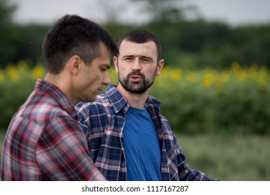 Two Farmers Talking In Front Of Sunflower Field In Early Summer