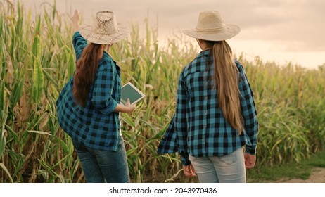 Two Farmers Women With Digital Planets Working Together In Corn Field. Agricultural Business Concept. Farmer Businessman Talking In Cornfield, Making Deal, Using Computer Tablet. Growing Food. Partner