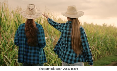 Two Farmers Women With Digital Planets Working Together In Corn Field. Agricultural Business Concept. Farmer Businessman Talking In Cornfield, Making Deal, Using Computer Tablet. Growing Food. Partner