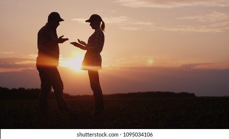 Two Farmers Work In The Field In The Evening At Sunset. A Man And A Woman Discuss Something, Use A Tablet