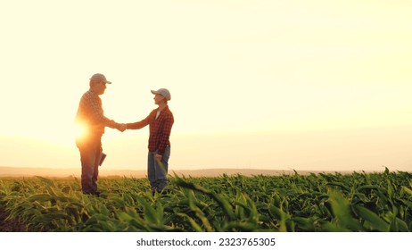 two farmers work tablet sunset, farming teamwork group people contract handshake agreement sunset corn wheat, agronomists going young sunset plantation farmer managers use soy rural harvest farmers