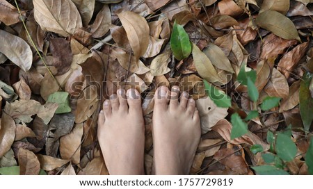 Two feets stepping on dry leaves