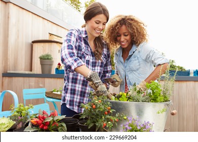 Two Female Friends Planting Rooftop Garden Together