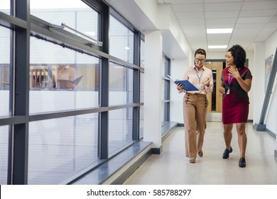 Two Female Teachers Are Walking And Talking Together Down The School Hall. They Are Discussing A Student's Work. 