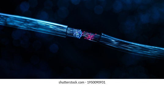 two fiber optic cables connecting fast