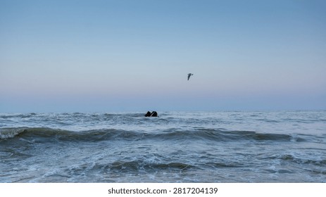Two figures float calmly on ocean waves. Lone bird soars high against the clear sky. The sea's rhythm whispers beneath their quiet presence. Sunset hues paint the horizon in soft blues and purples