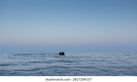 Two figures float calmly on calm ocean waters. Sky transitions from soft blue to gentle purple. They appear serene, embracing the vast, quiet sea. Perfect for tranquil escape, meditation