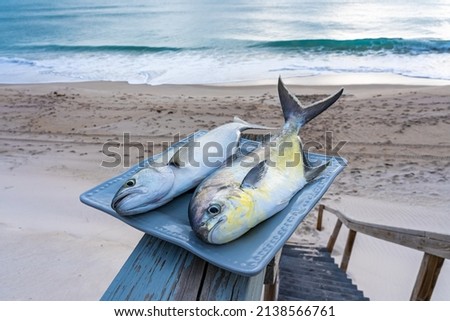 Two fish caught in the ocean on a plate on the railing of a wooden staircase. Pompano fish and bluefish against the backdrop of the Atlantic Ocean. Melbourne Beach, Florida