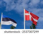 Two flags, one representing Estonia and the other Denmark, flutter gracefully in the breeze under a bright blue sky, surrounded by tree tops and openness.