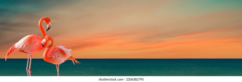 Two Flamingos Standing At The Tropical Shoreline Banner.