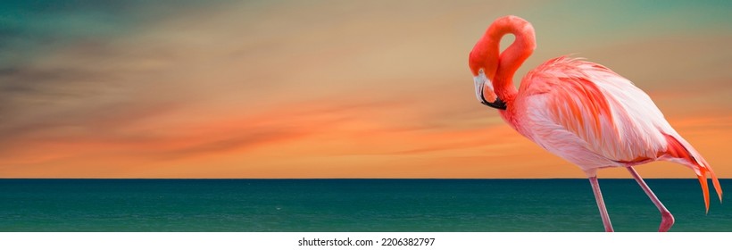 Two Flamingos Standing At The Tropical Shoreline Banner.