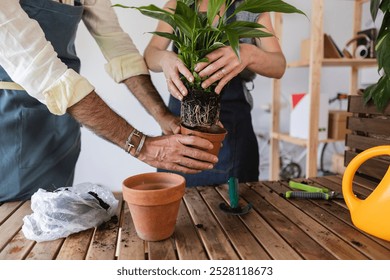 Two florists wearing aprons are repotting a peace lily into a terracotta pot, holding it carefully while placing it into the new pot - Powered by Shutterstock