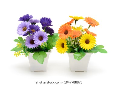 Two flowering plants in pots. Gerbera is purple and yellow. Piece of interior. Isolated on white background.