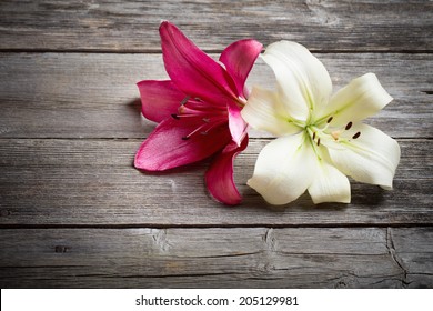  Two Flowers On Wooden Background