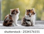 two fluffy cute kittens sitting on the windowsill in the house on a summer sunny day