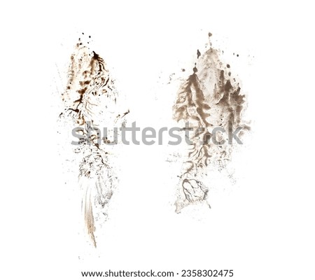 Two footprint isolated on white background. Dirty muddy print boot