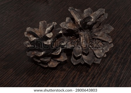 Two forest pine cones close-up on a dark textured natural wood surface