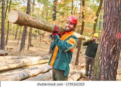 Two forest workers transport a tree trunk while harvesting wood in the forest - Powered by Shutterstock