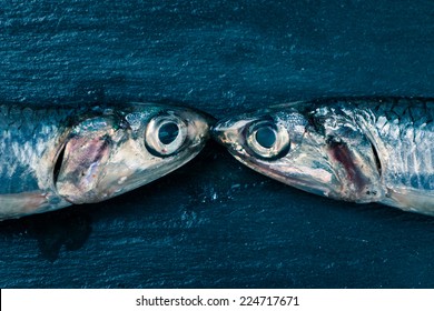 Two fresh anchovies seem kissing on a slate background