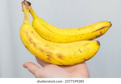 Two fresh bananas in a man's hand, ripe bananas hanging against a gray wall background - Powered by Shutterstock