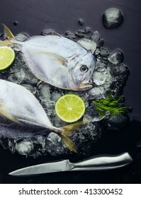 Two Fresh fish (Vomer or Selene setapinnis ) dill, knife ,dill, two lime on melted ice.Flat lay. Top view. Closeup - Shutterstock ID 413300452