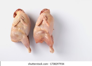 Two fresh organic quails isolated on white background, Horizontal format, Place for text