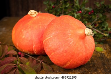 two fresh pumpkin on rustic table