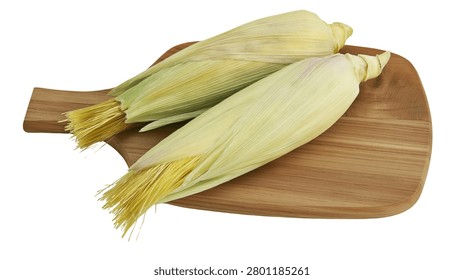 Two fresh raw corn cobs with husks on a wooden cutting board
