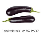 Two fresh raw healthy eggplants or aubergine vegetable isolated on  white background. Food ingredient, vegetatian cuisine, organic greenhouse farm plant