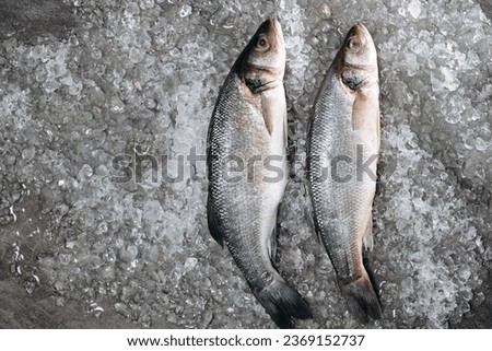 Two fresh seabass fish, which are located on ice particles on the kitchen table in the same direction