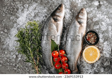 Two fresh seabass fish, which are located on ice particles on the kitchen table in one direction, next to which there is a black pot with pepper, sprigs of fragrant rosemary
