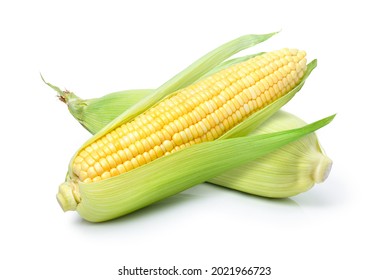 Two fresh sweet corn ears isolated on white background.