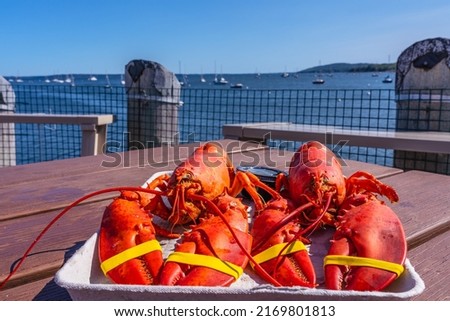 Two freshly boiled red lobsters on a wooden table on the shore in the bright sun