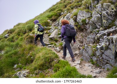 Two Friends Female Tourists With Backpacks Together Hiking In The Mountains