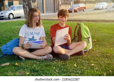 Two Friends Studying Together In The Park