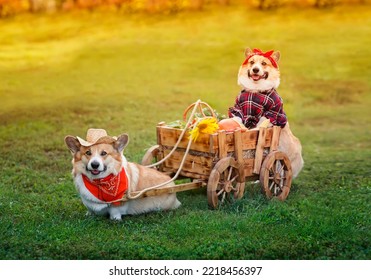 9,955 Farmer And Dog Images, Stock Photos & Vectors | Shutterstock