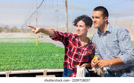 Two Gardeners Working In Greenhouse. Skilled Woman Pointing And Telling Something To Male Assistant