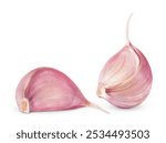 	
two garlic cloves isolated on a white background	
