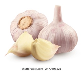 Two garlic and garlic cloves isolated on a white background.