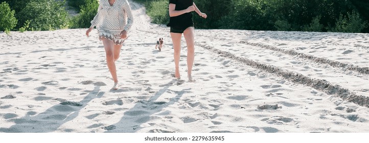 Two girlfriends run with a small dog along the sand on the beach in summer. Creative image for your design or illustrations. - Shutterstock ID 2279635945