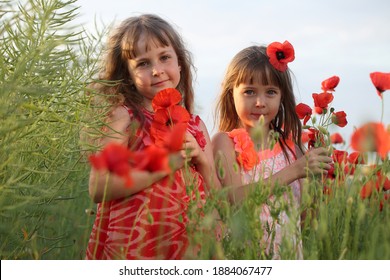 380 Little flowers girl is plucking Images, Stock Photos & Vectors ...