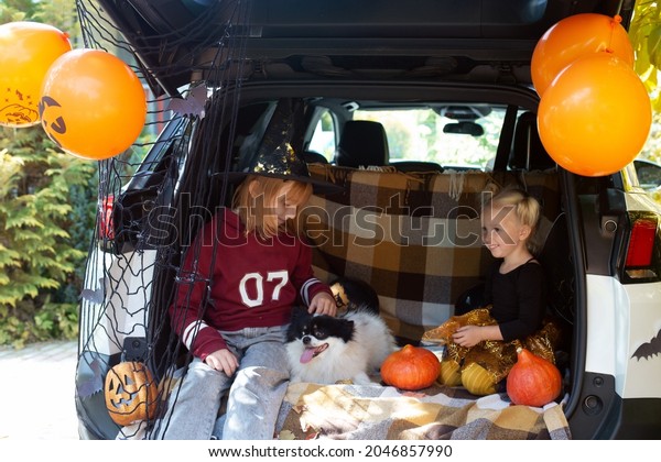Two\
girls and dog celebrating Halloween. Safe Halloween in quarantine.\
Two sisters siblings sitting in car trunk with pet and having fun\
celebrating Halloween. Trick or treat. Stay\
home