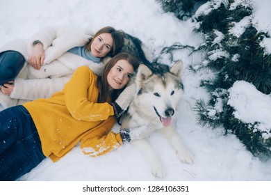 Two girls are lying in the snow and puting their heads on the dog Alaskan Malamute for a walk in winter.