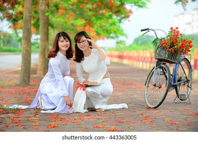 Two girls in Vietnamese's traditional costumes - Long-dress (the Ao dai - Vietnamese) - and Royal Poinciana road (Delonix Regia). The charming beauty of Vietnam women.