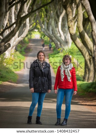 Similar – Foto Bild Dark Hedges in Nordirland