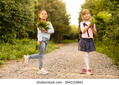 Two girls walk in summer in park, talk, walk after school and college, hold hands, best friends return home after school. Free space for copy text