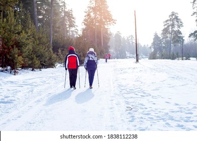 Two Girls Are Walking In The Winter Forest With Sticks. Nordic Walking. Back View.