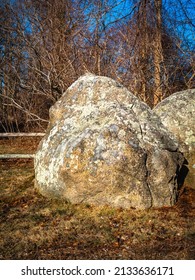 Two Glacial Rocks Or Boulder Covered With Lichen In The Green Wooded Meadow